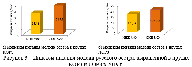 Индексы питания молоди русского осетра, выращенной в прудах КОРЗ и ЛОРЗ в 2019 г.