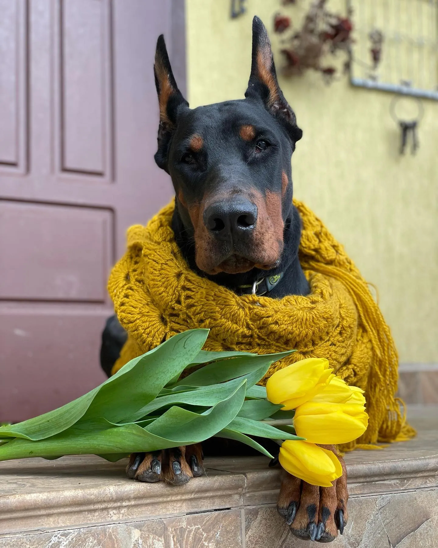 Зоогостиница