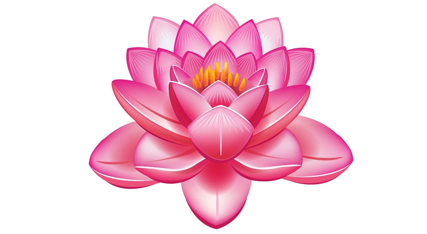 Символ лотоса в буддизме
