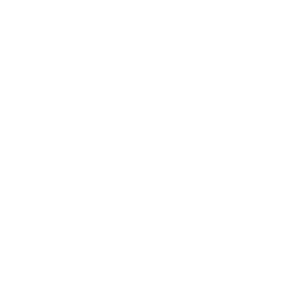 Huge Flowers Logo