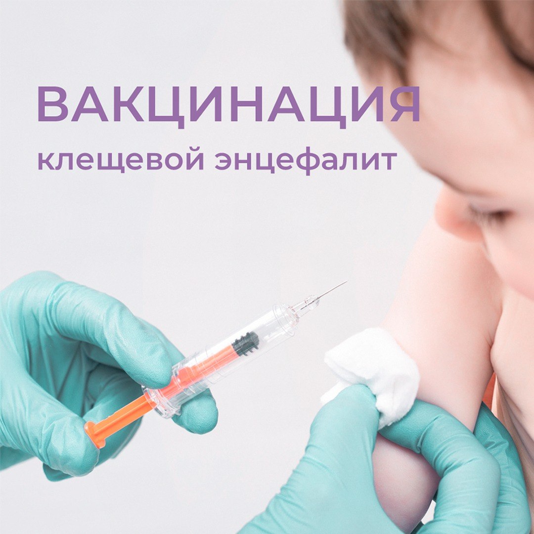 Вакцинация: клещевой энцефалит 💉