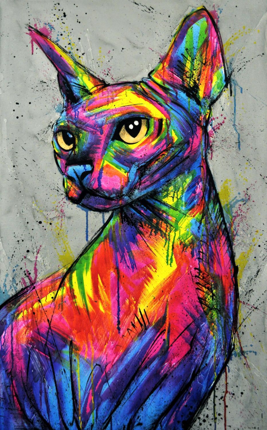 кот