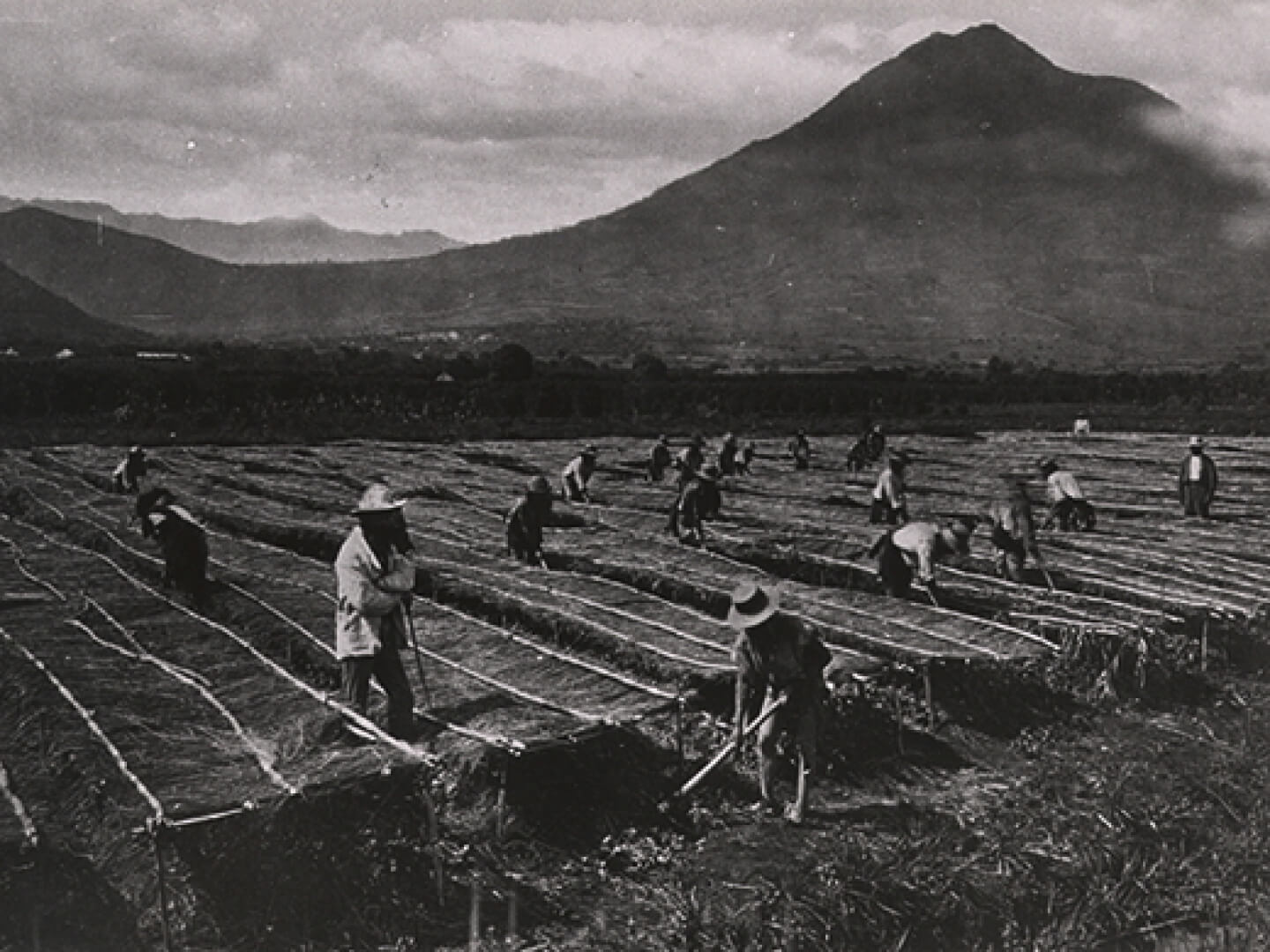 Eadweard Muybridge, 1875. Sidney D. Markman Collection
