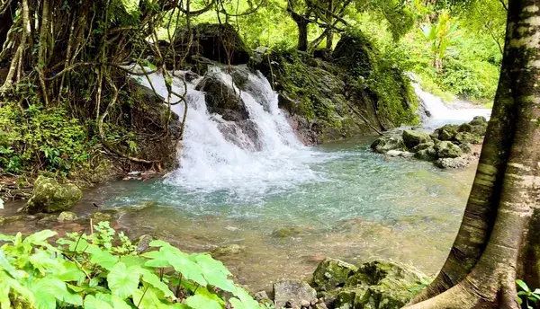 Небольшой водопад в тени деревьев