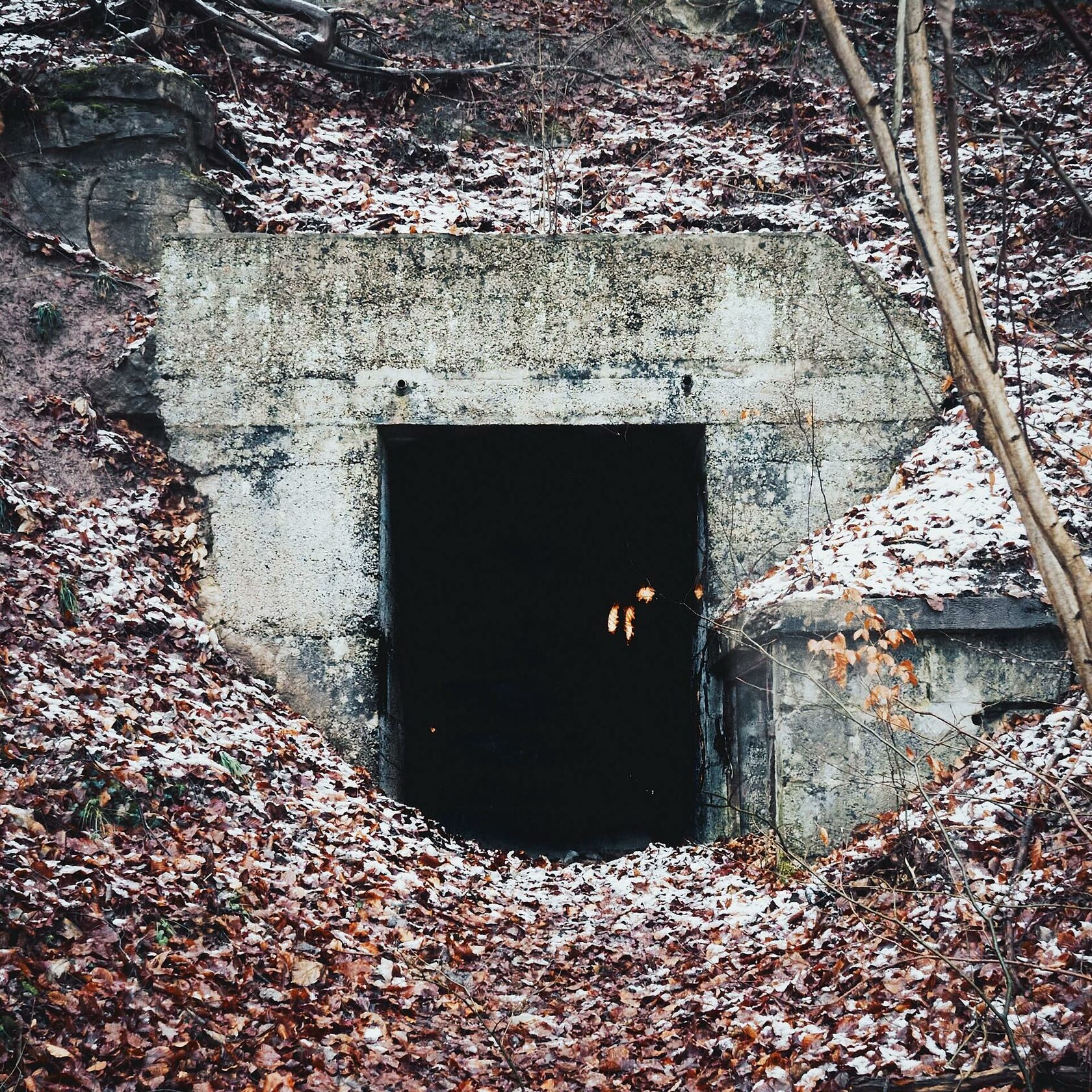 Bunker down 1.16 5. Бункер. Бункер картина. Бункеры. Bunker down.