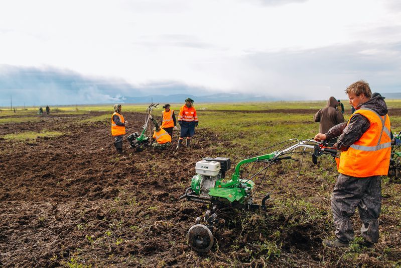 Land reclamation around CHPP-3 of the Norilsk Fuel and Energy Company in May 2020.