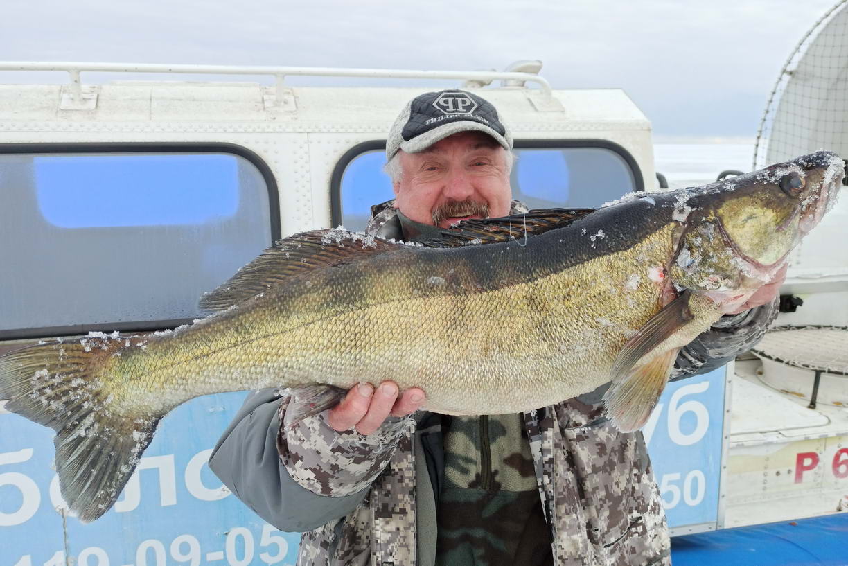 Рыбалка на Рыбинском водохранилище: отзывы, советы, прогнозы