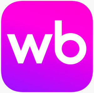 website icon