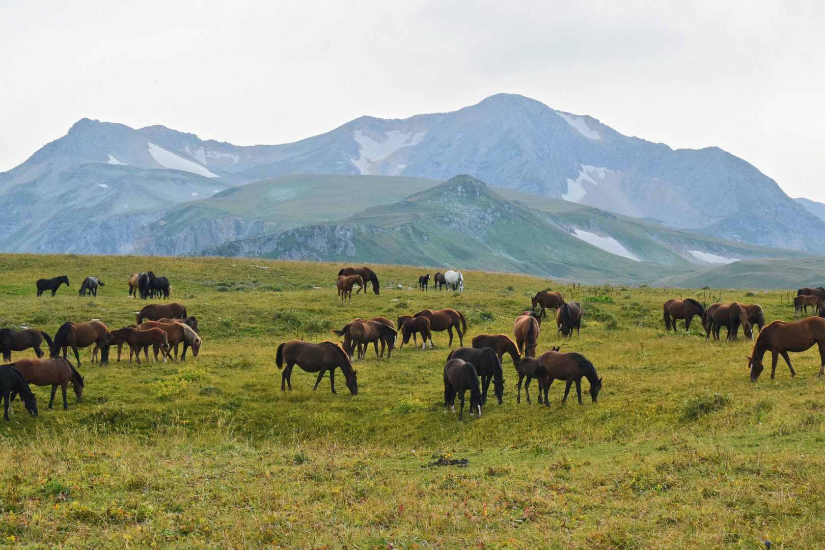 Табуны алтайский край фото