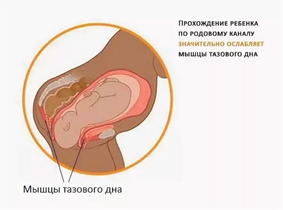 Тонус Мышц Влагалища