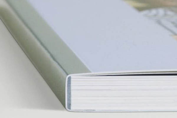 Скрепление книжных изделий на мягкий переплет.