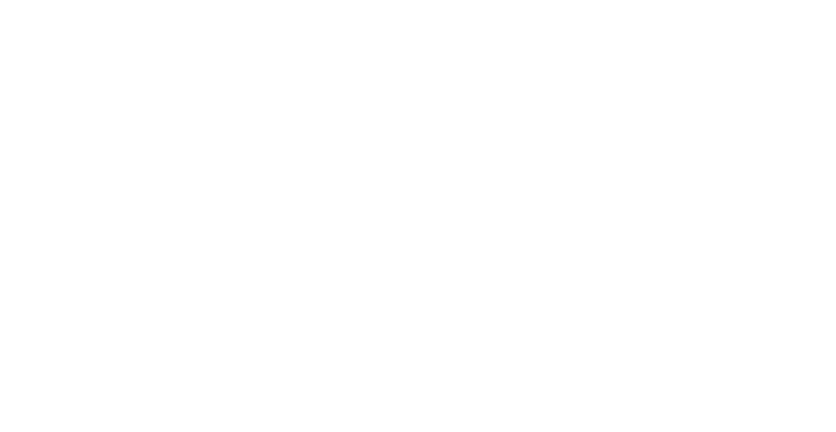 Бирюса