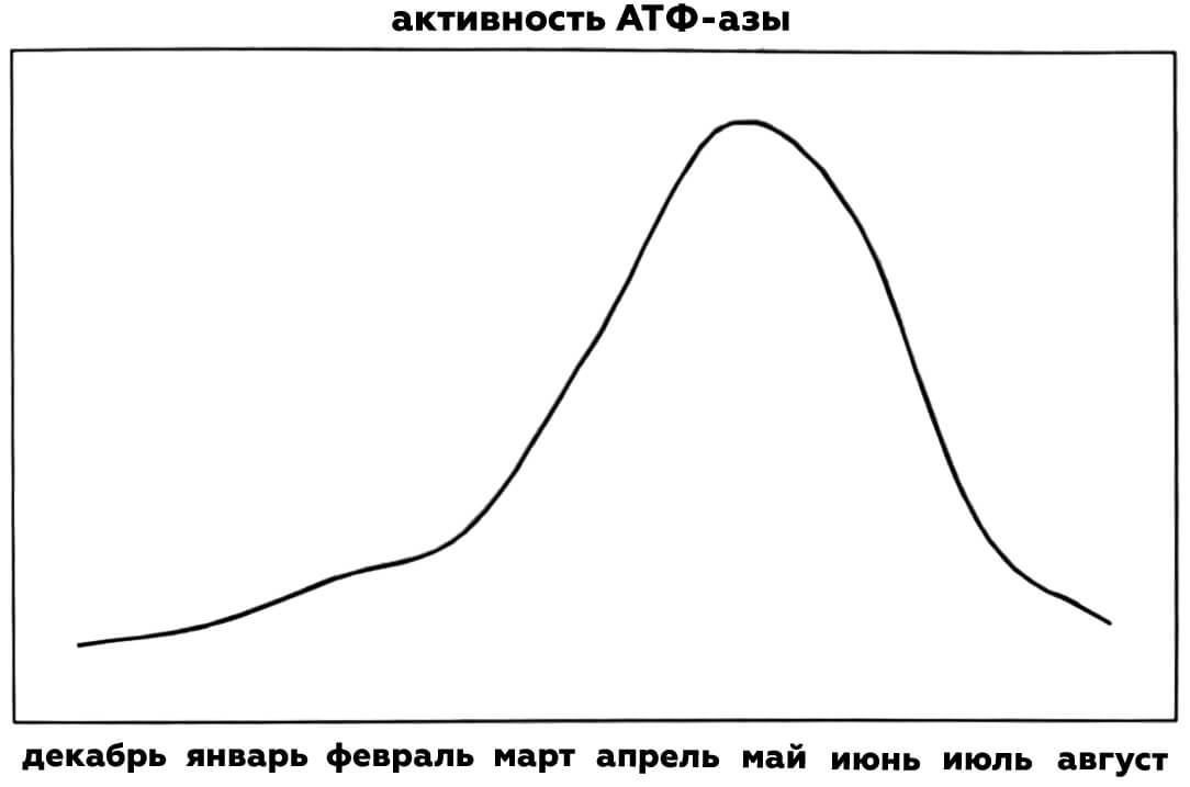активность атфазы в жабрах лосося узв акваферма