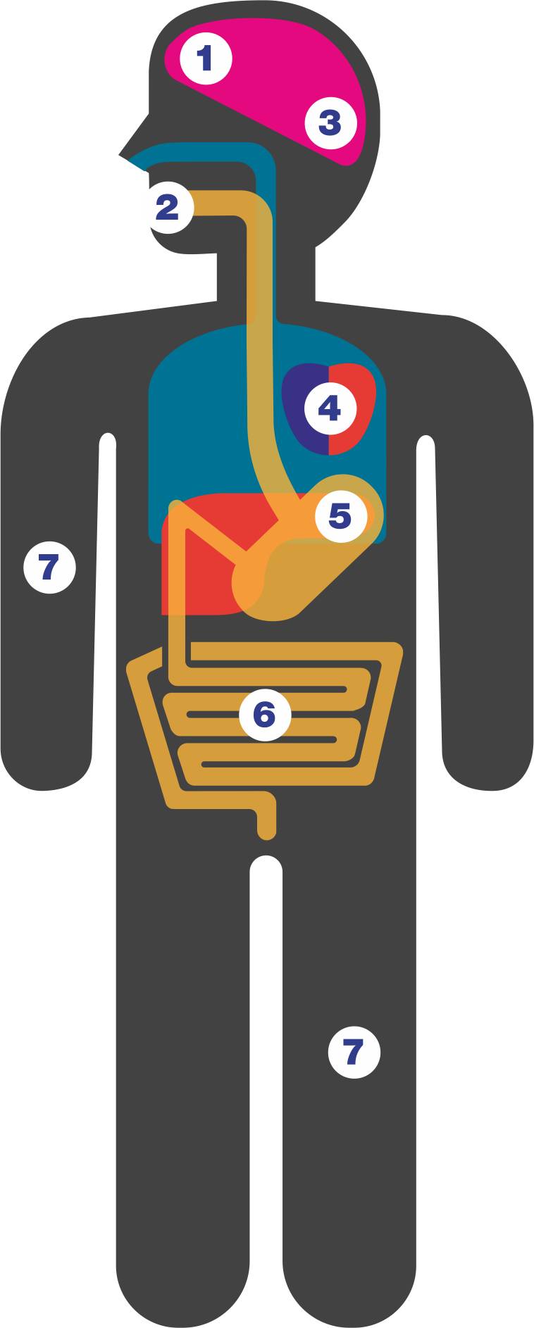 Похмельный синдром