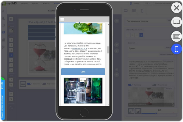 CourseLab Online, WebSoft HCM, Алексей Корольков