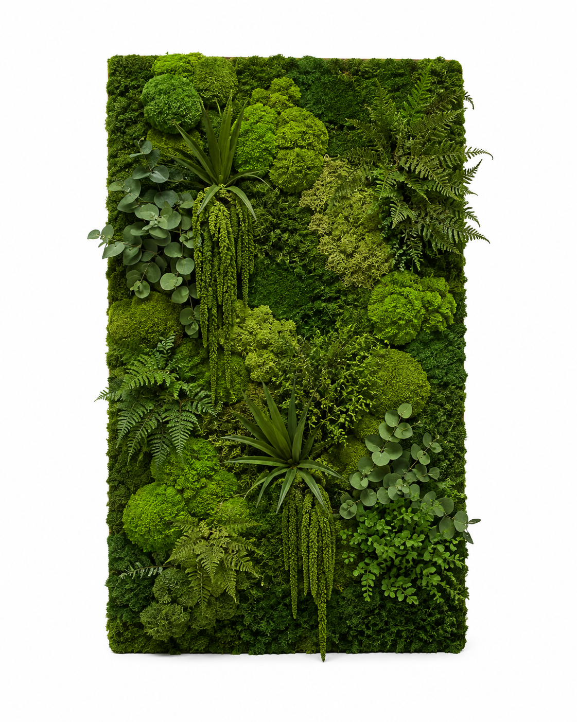 Preserved Green Walls