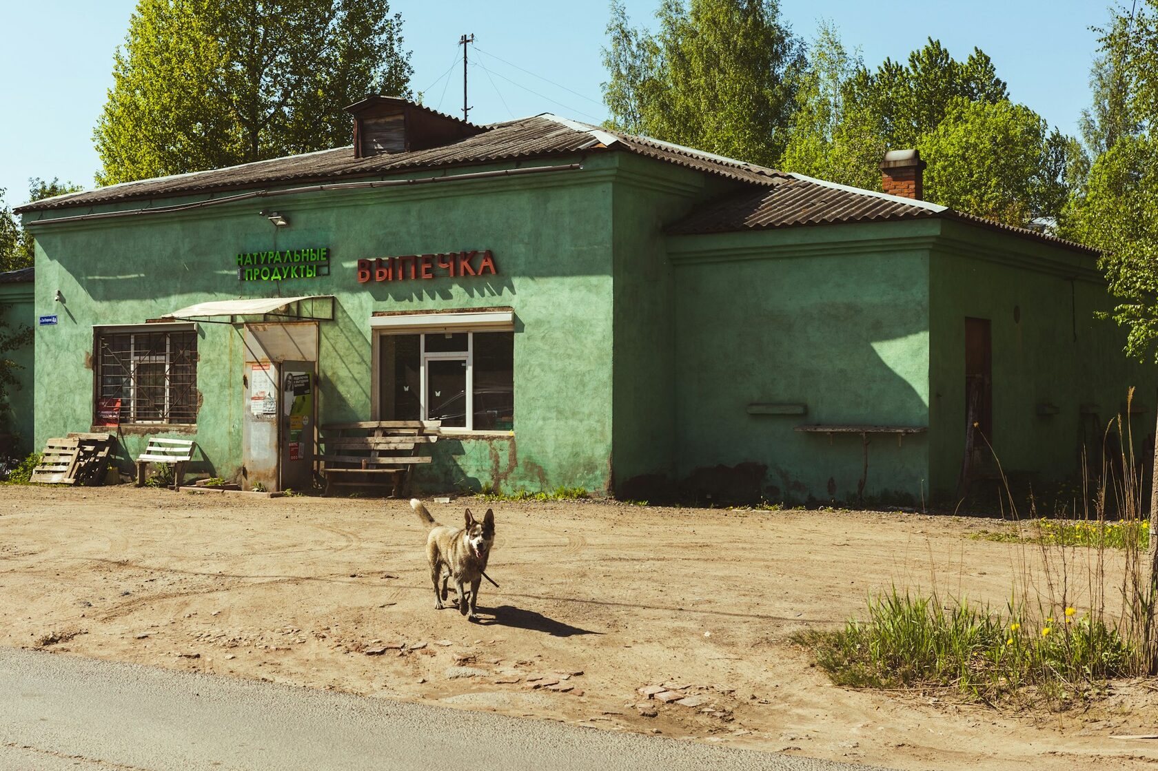 Пироги