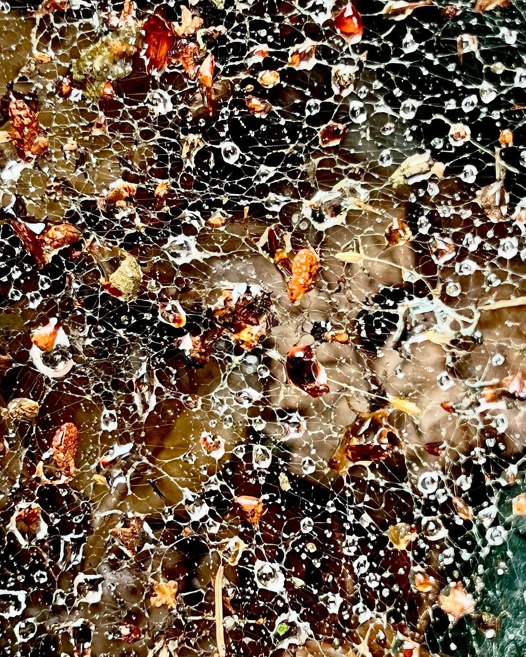 Анатолий Кухарчук. Anatoly Kuharchuk. 