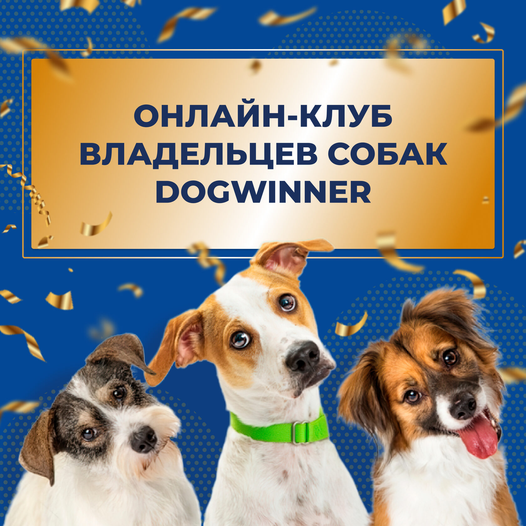 ОНЛАЙН-КЛУБ DOGWINNER