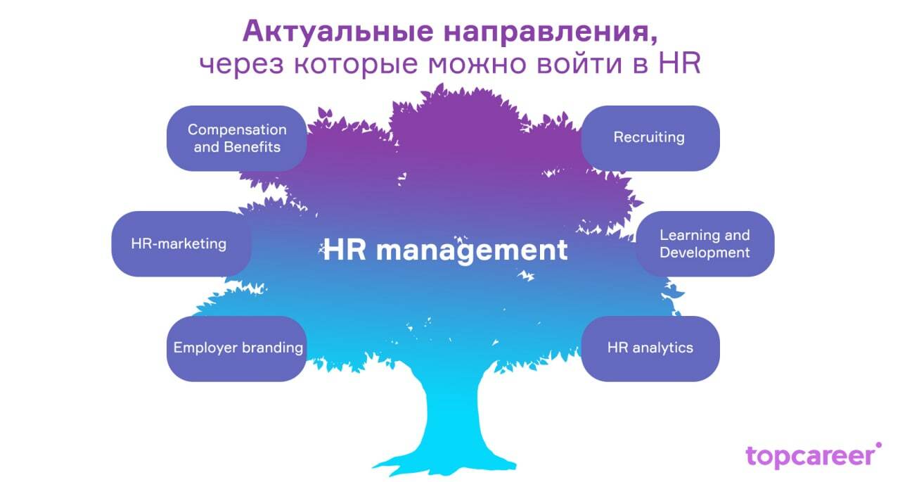 HR-    HR