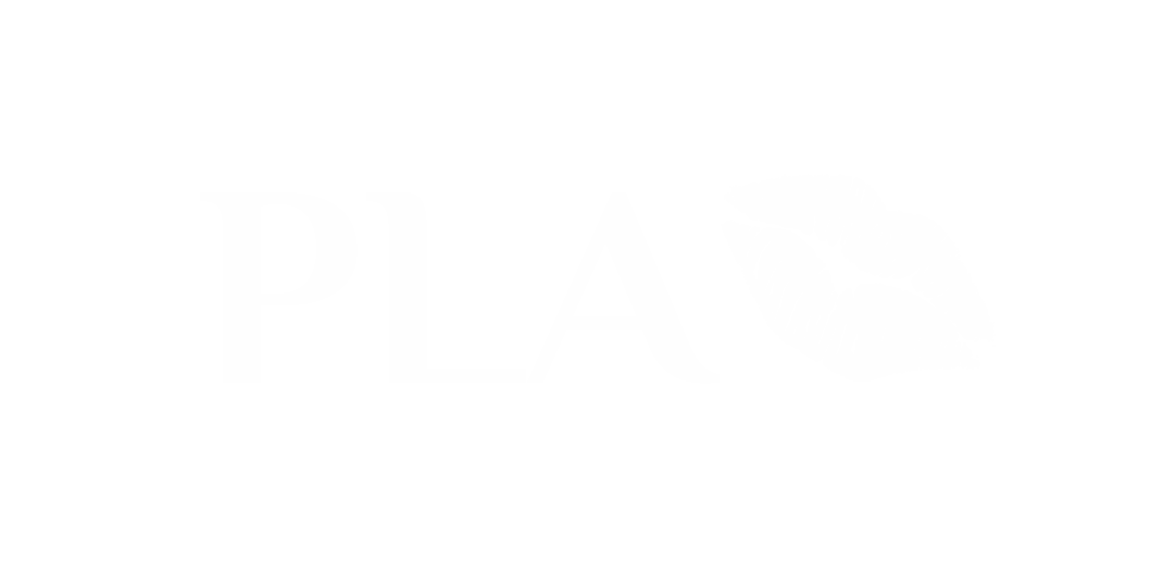 PLAY