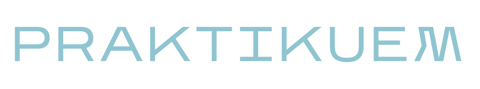 PRAKTIKUEM