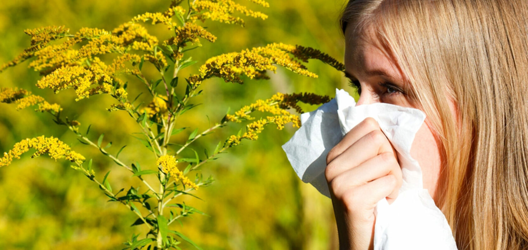 Кашель при аллергии на цветение. Аллергия на пыльцу. Весенний поллиноз. Аллергические растения. Весенняя аллергия.