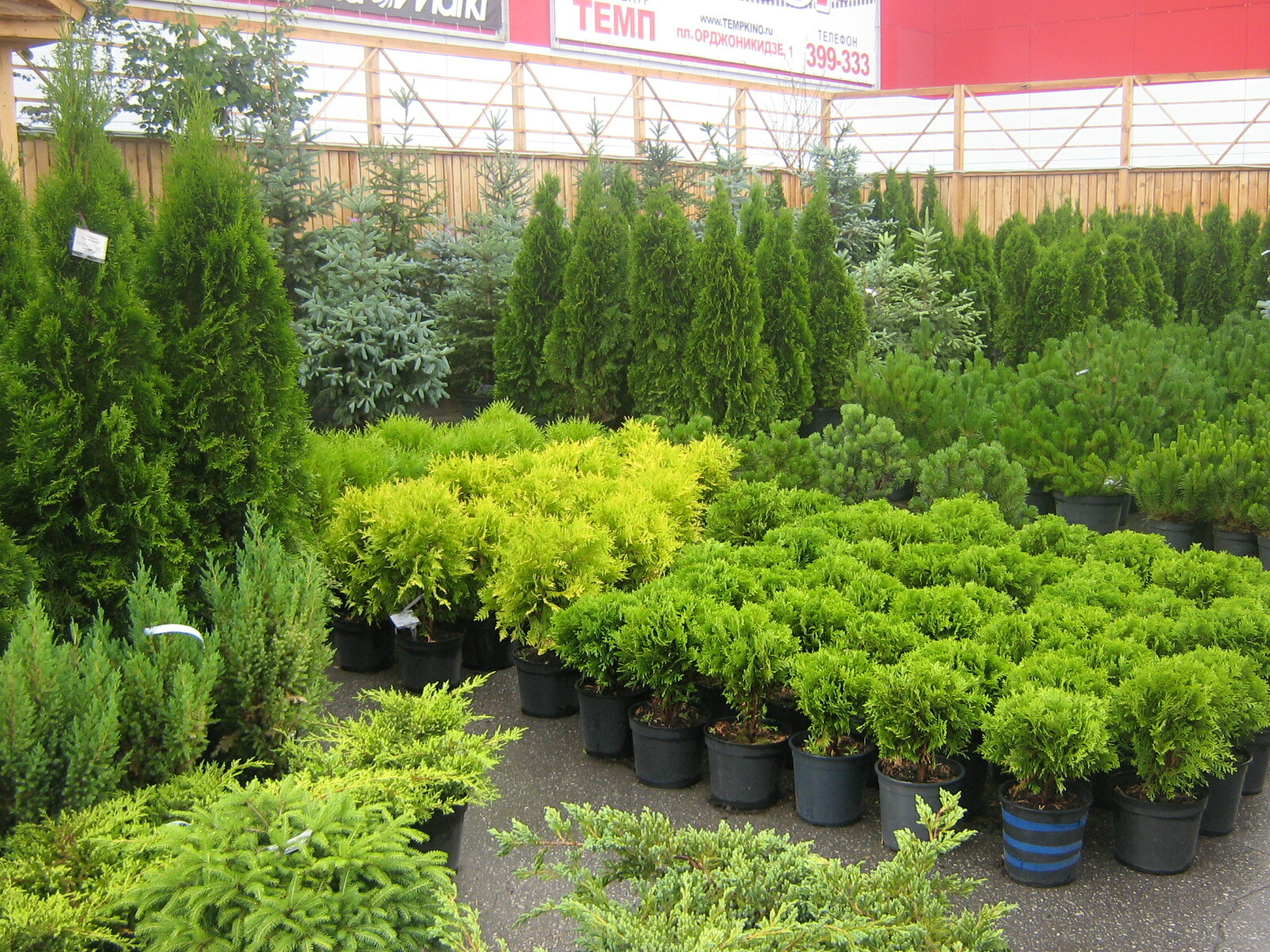 Садовый центр ржавка. Хомяк садовый центр тула каталог. Хлевино садовый центр чеховский. Садовый центр ржавка. Садовый центр баннер.