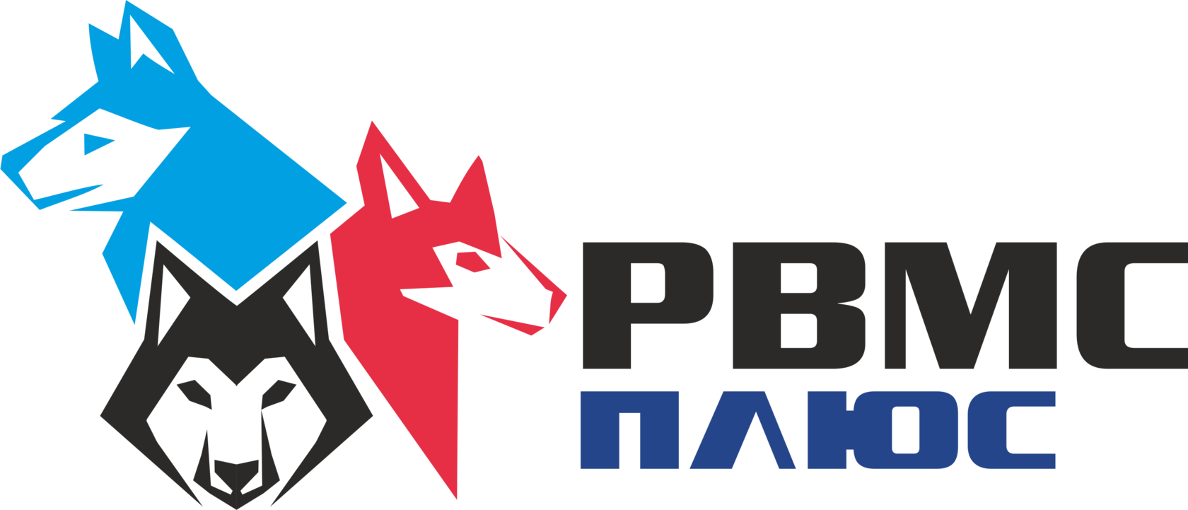 РВМС ПЛЮС