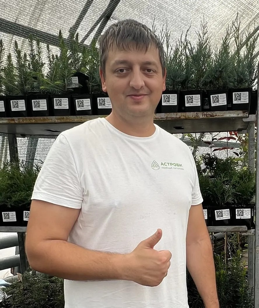 Специалист питомника с живым саженцем в горшке P9