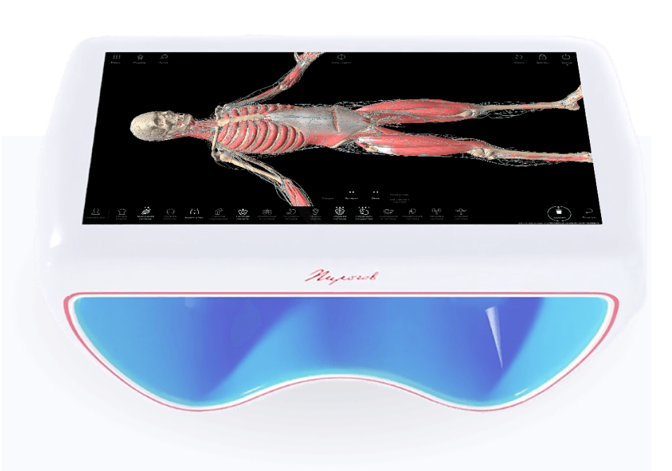 Интерактивная анатомия. Интерактивный анатомический стол "пирогов II. Интерактивный анатомический стол. Интерактивный стол Пирогова. Анатомический стол Пирогова.