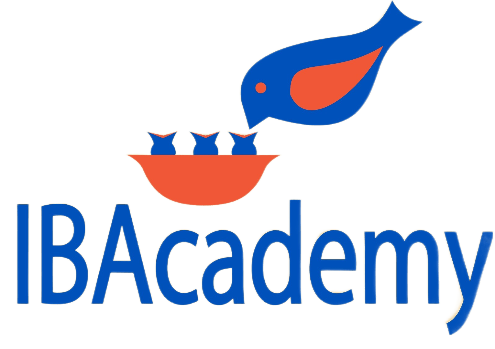 IBAcademy