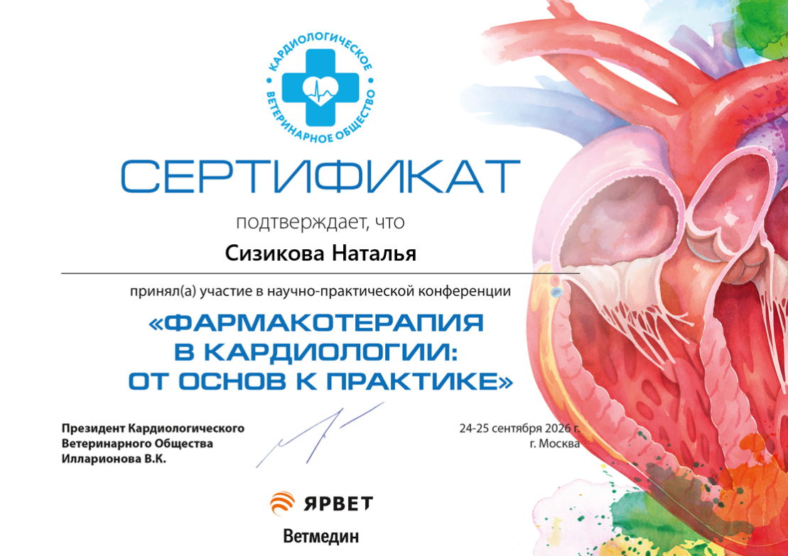 Сертификат об обучении 44