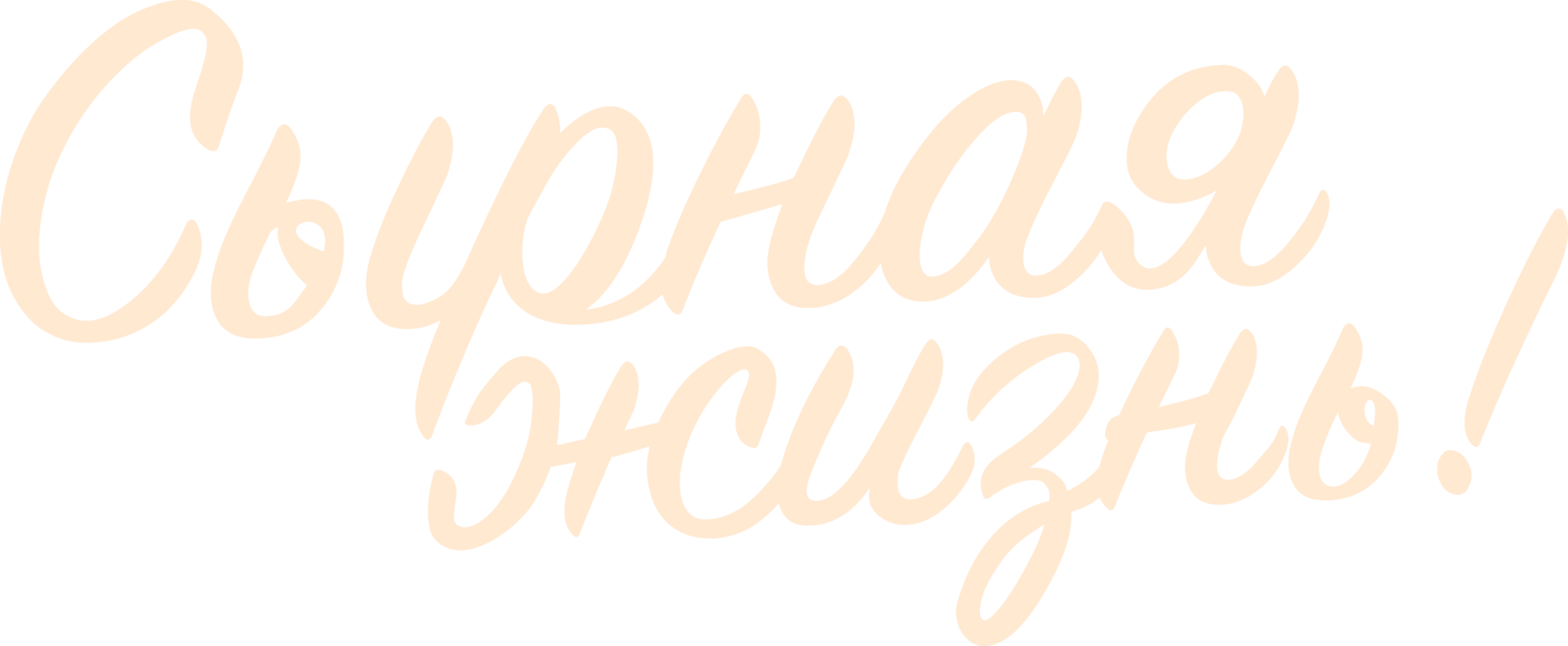 Company