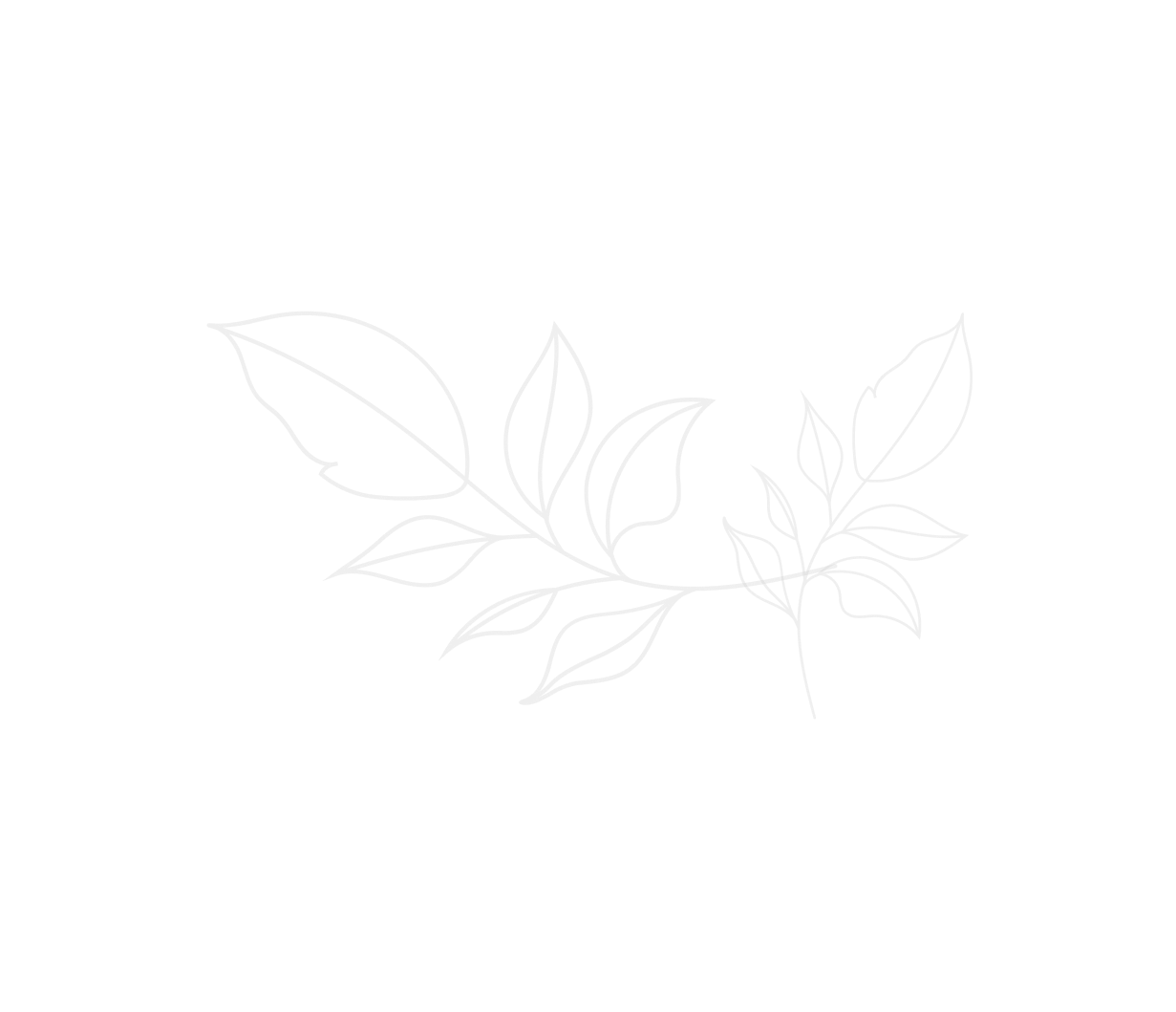 Салон красоты и спа Green Spa в Нижнем Новгороде