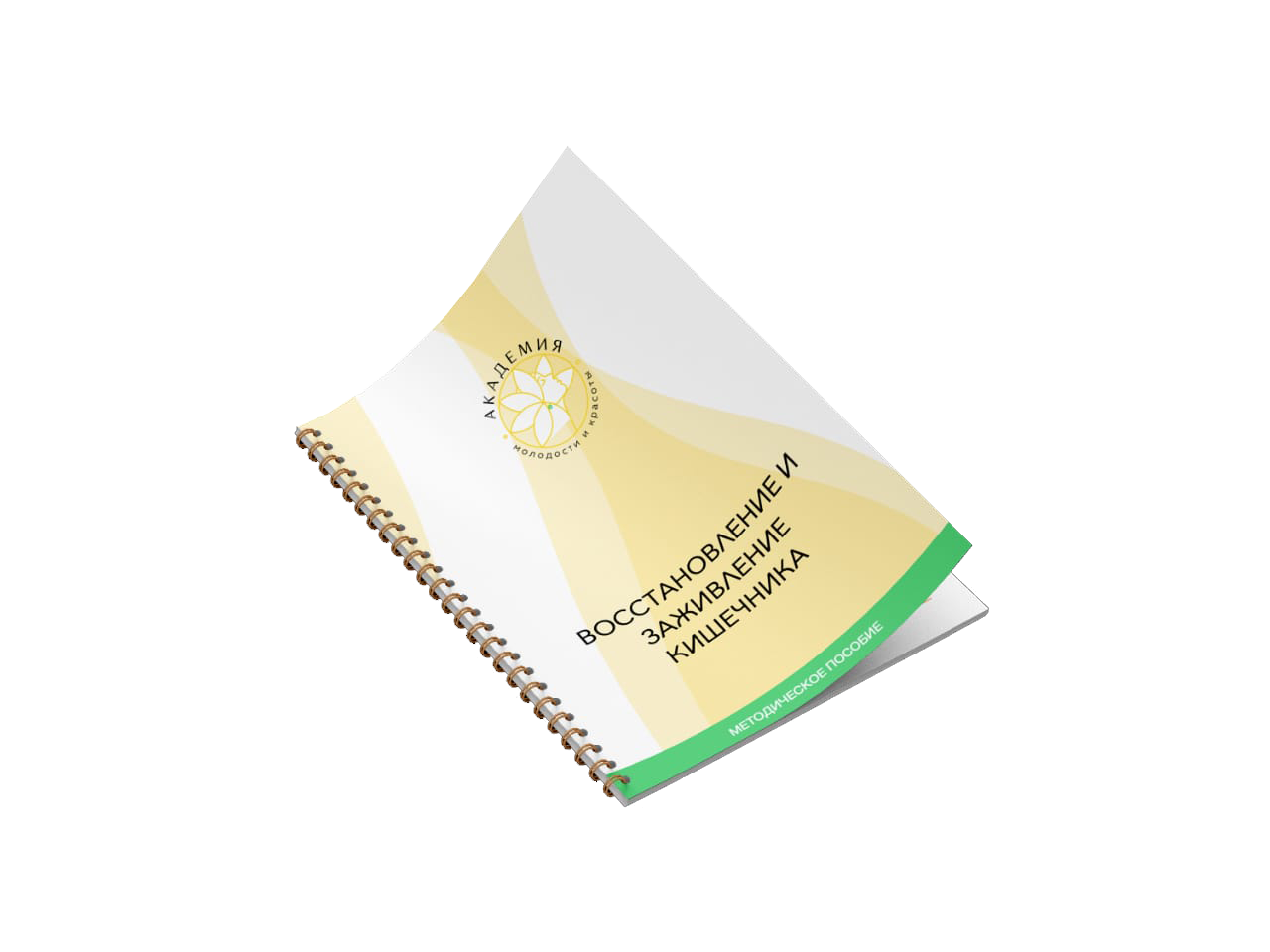 Методичка 2022. Методичка 2022. Примерные программы начального общего образования фгос. Обложка методички дизайн. Методичка.