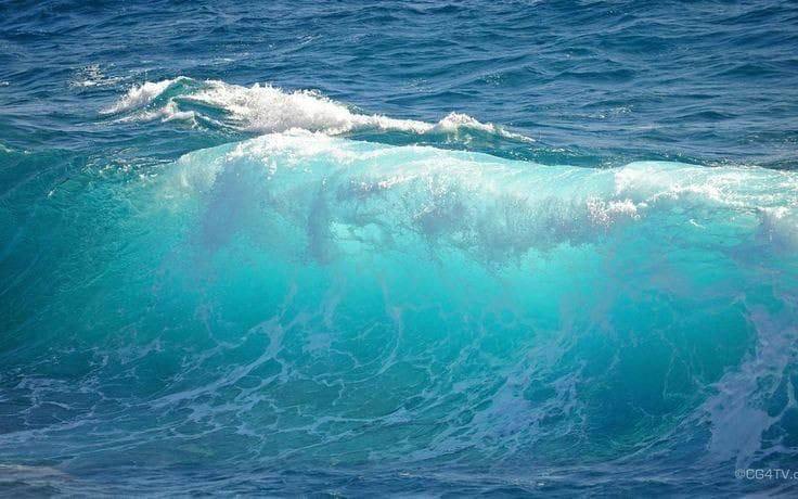 Крупная волна на море