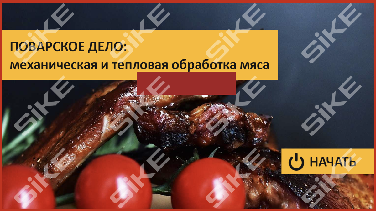 Технология первичной обработки мяса. Блюда из мяса