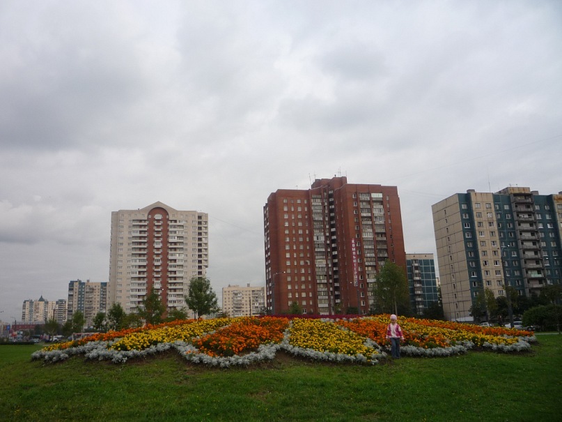 Фото Красногвардейский Район Спб