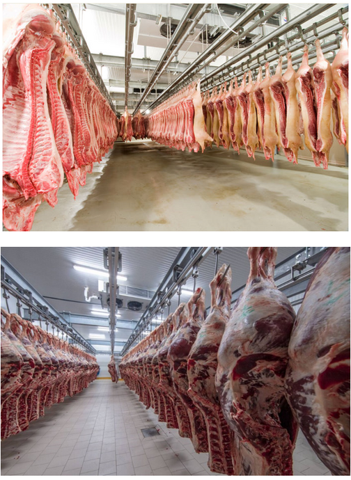 Охлаждение, заморозка и хранения мяса