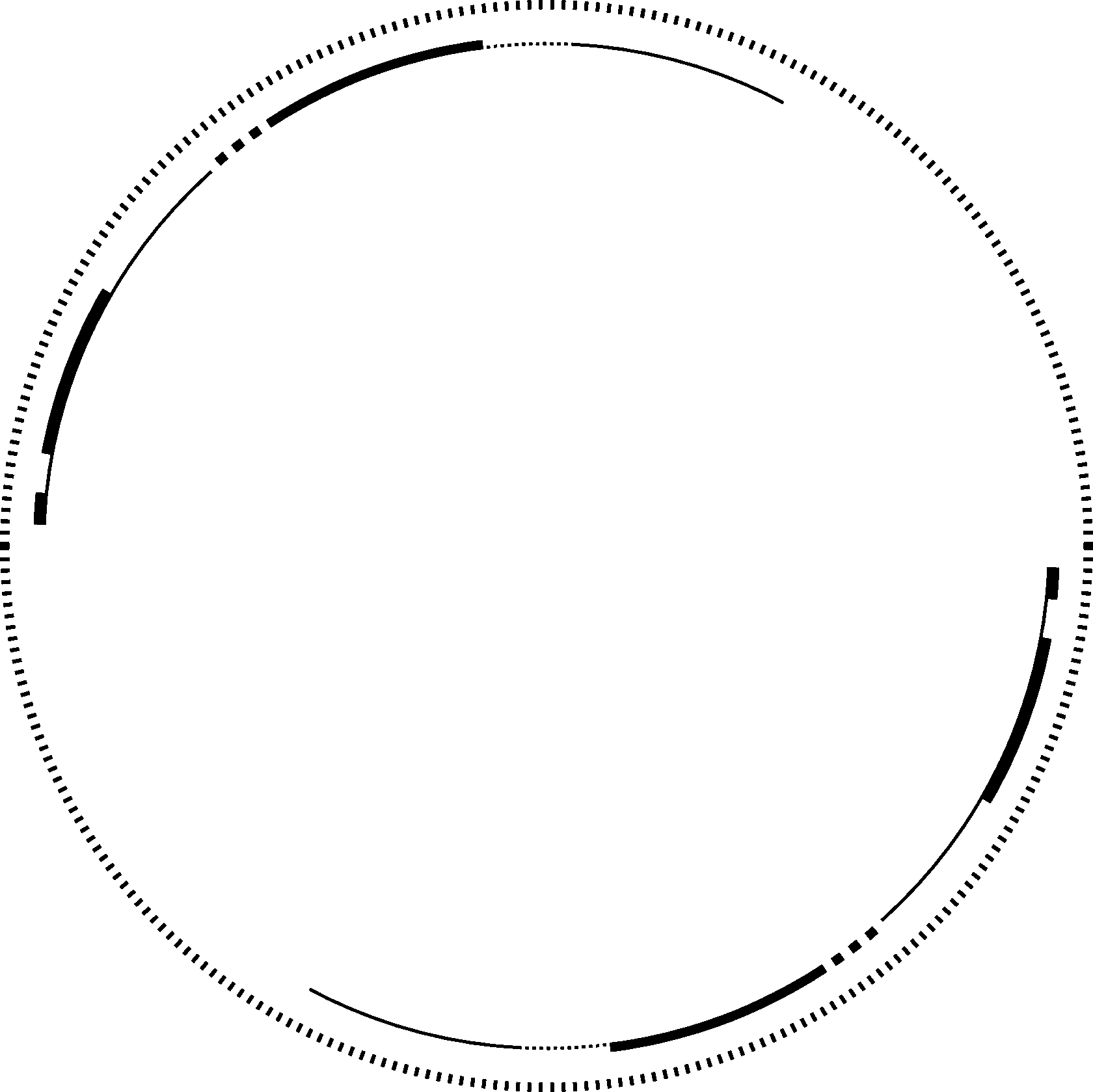 Непрерывный круг. Круглая рамка. Круговые линии. Круглая обводка. Пунктирный круг без фона.