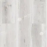 Дуб Полярный