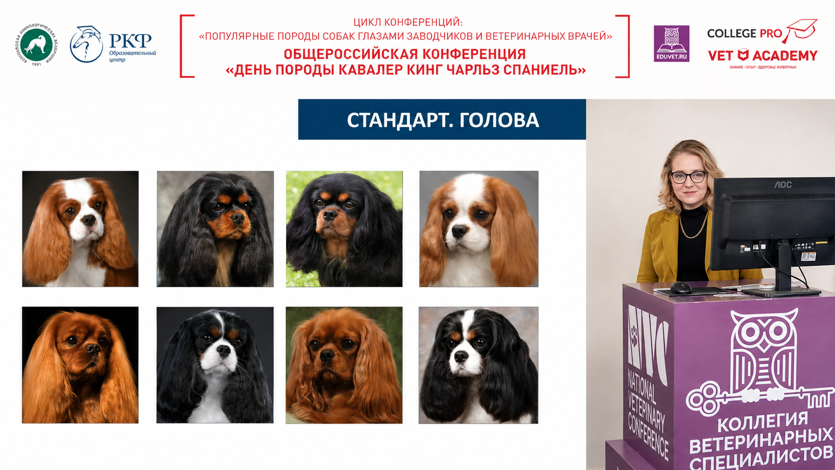 Выступление на Дне породы Кавалер кинг чарльз спаниель, образовательный проект РКФ