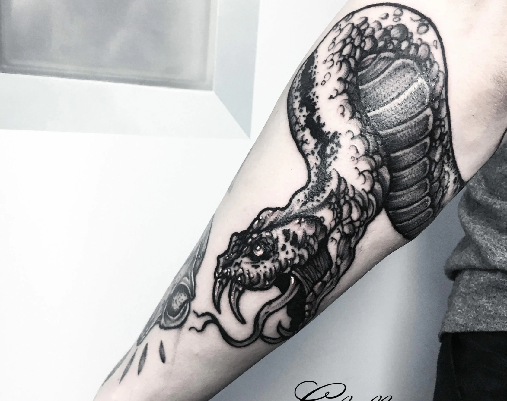 Тату змея | ANATOMY TATTOO STUDIO | Дзен