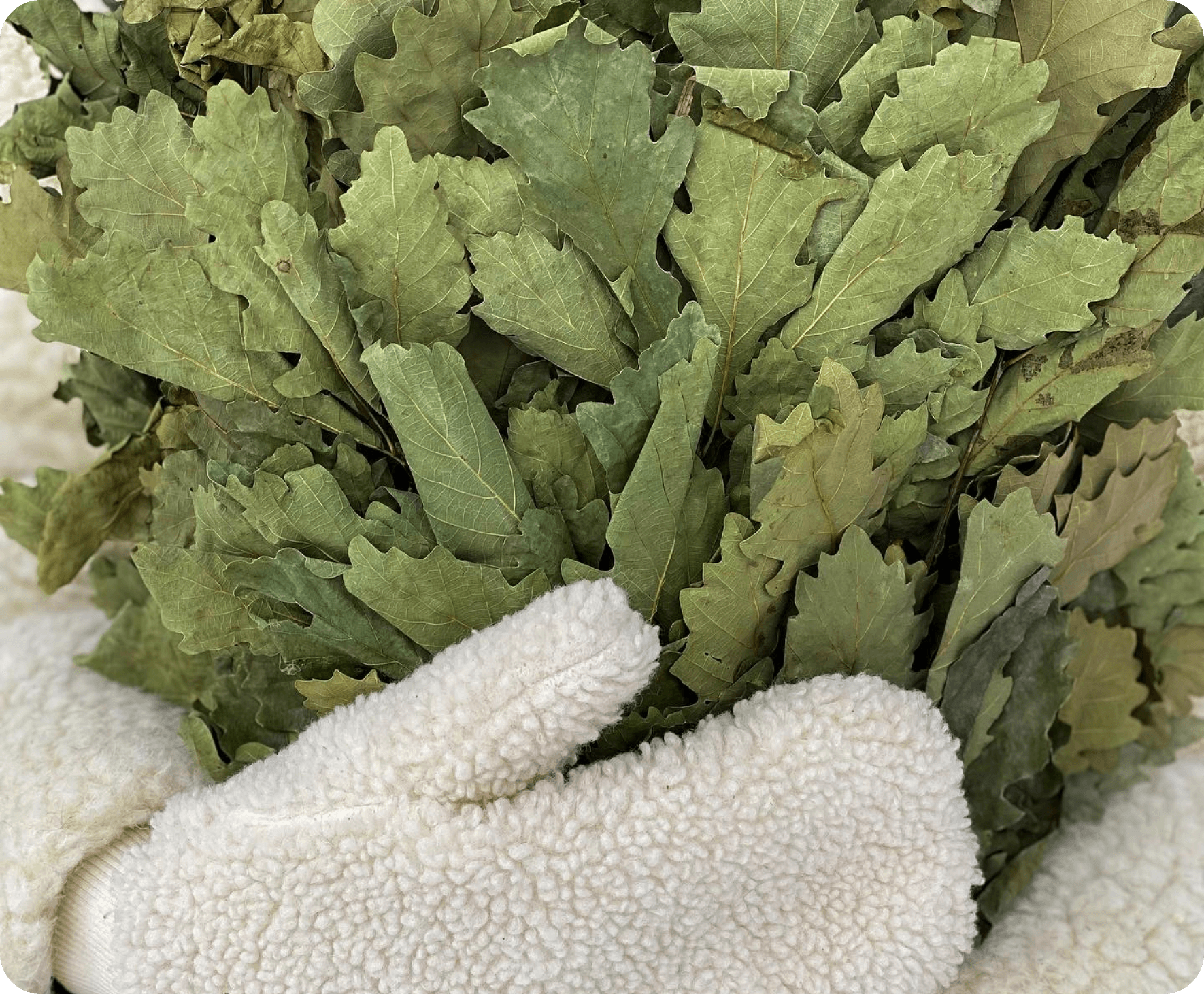 Как попариться веником без посторонней помощи?