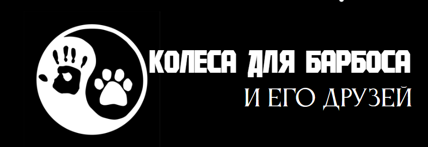 Company