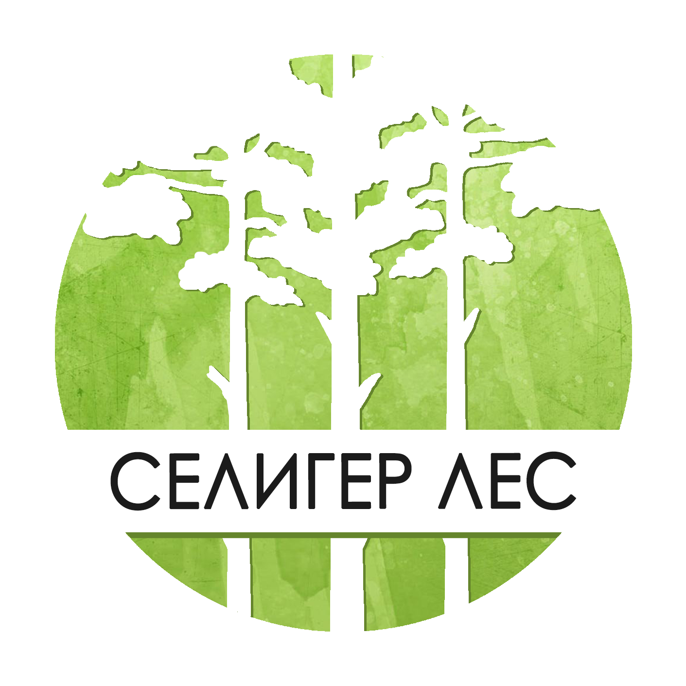 Купить Лес Великом Новгороде