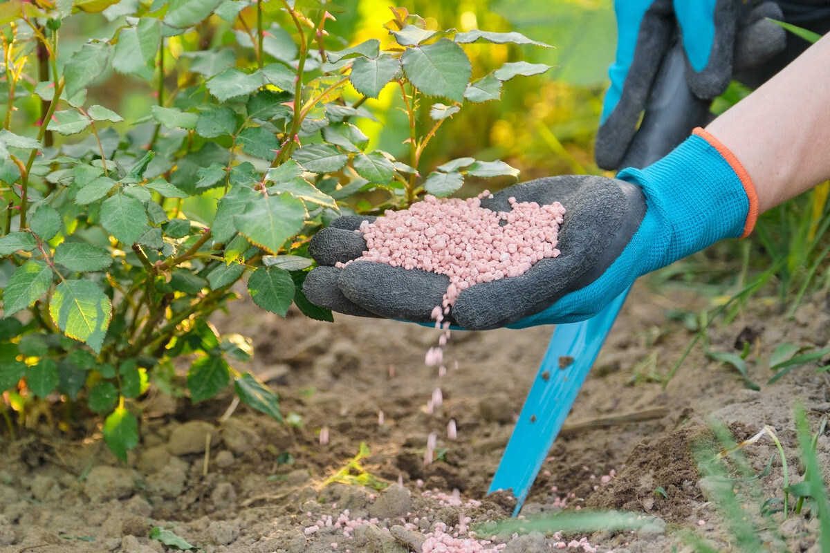 удобрения минеральные, органические и комплексные