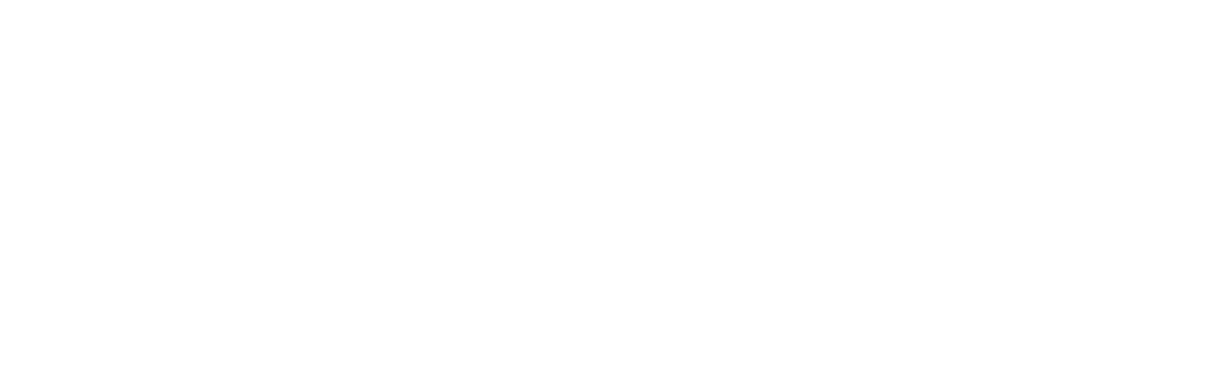 Плюшкин