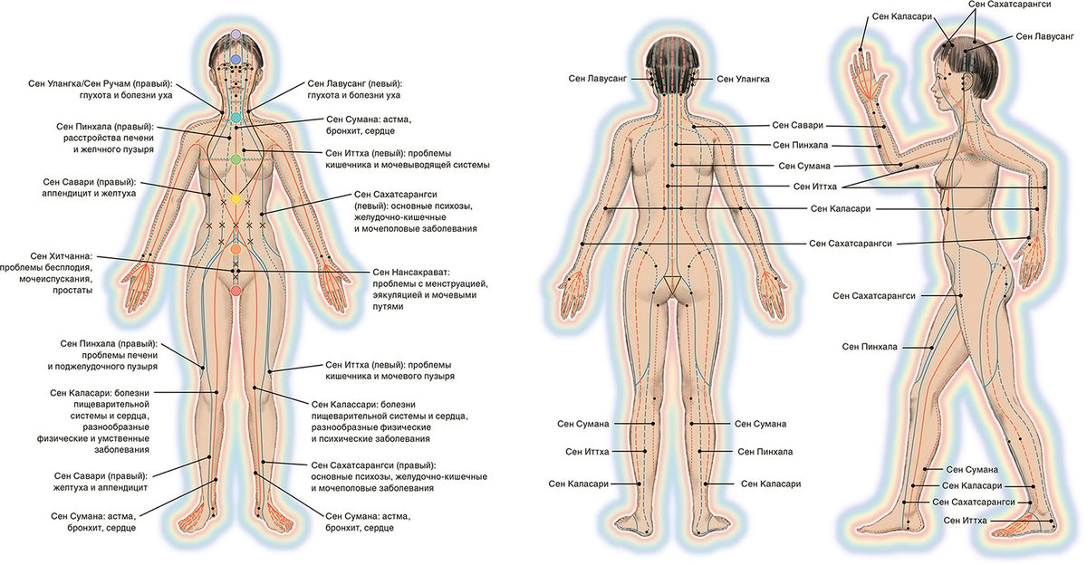 Китайская медицина меридианы органов в схемах и таблицах